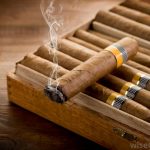 cigar