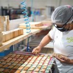 ESTO TAMBIÉN ES MAQUILA: LA DIVERSIDAD INDUSTRIAL QUE IMPULSA A HONDURAS