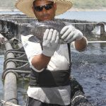 ESTO TAMBIÉN ES MAQUILA: LA DIVERSIDAD INDUSTRIAL QUE IMPULSA A HONDURAS