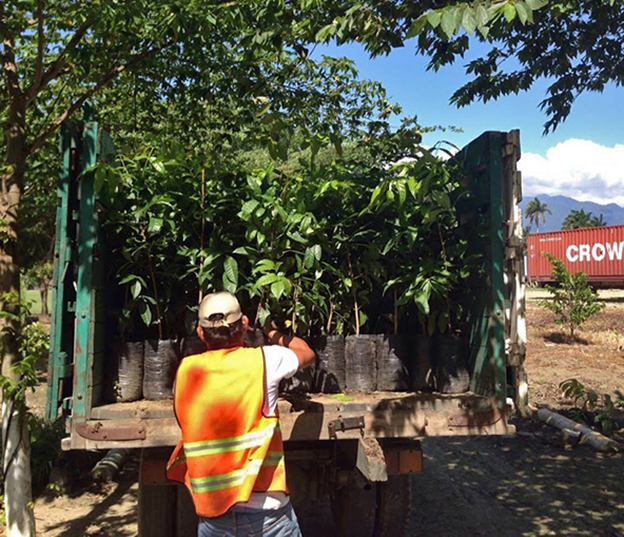 Comité de RSE de Zip San José continúa reforestando El Merendón