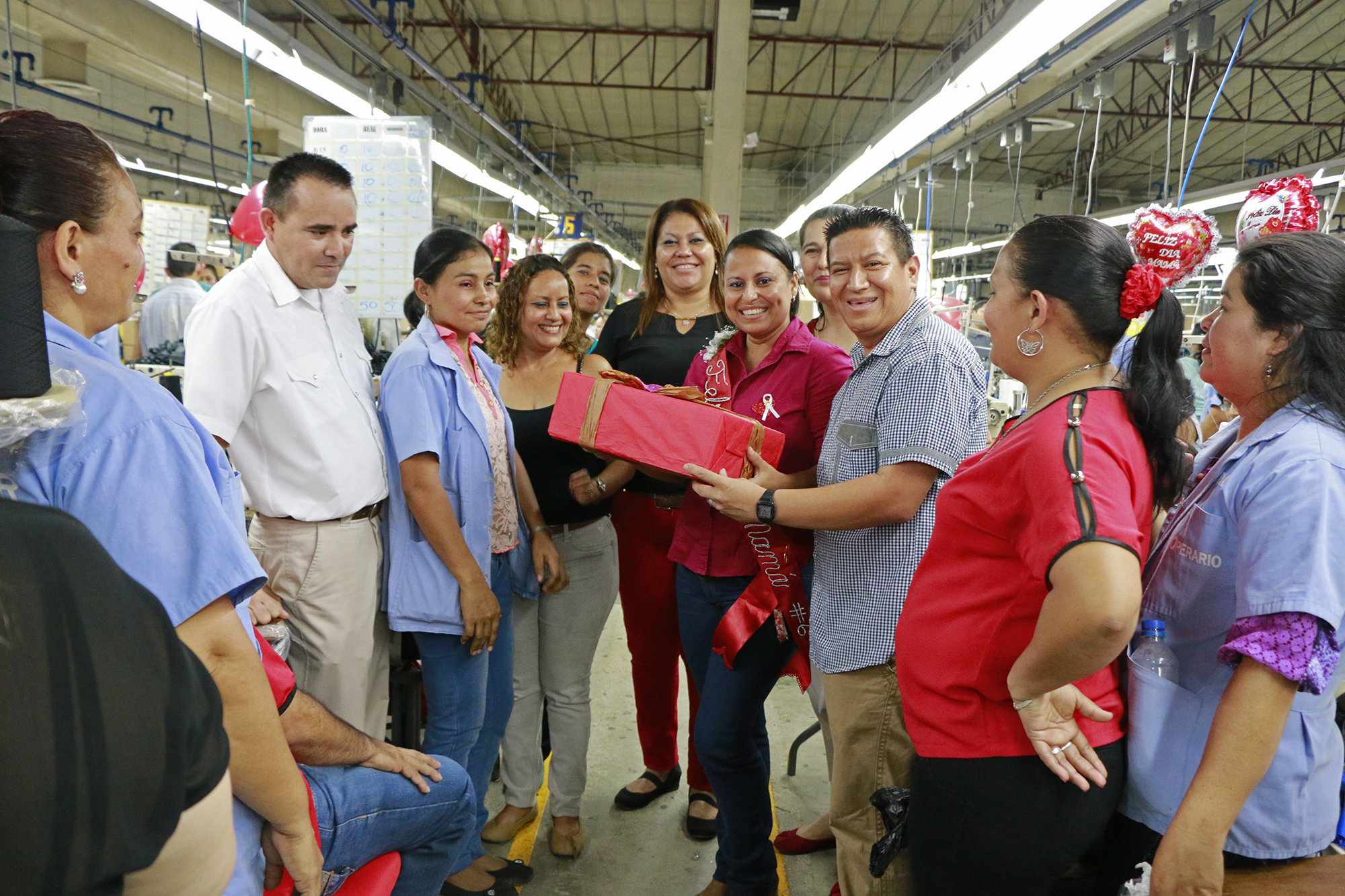 Las madres de New Holland también estuvieron consentidas