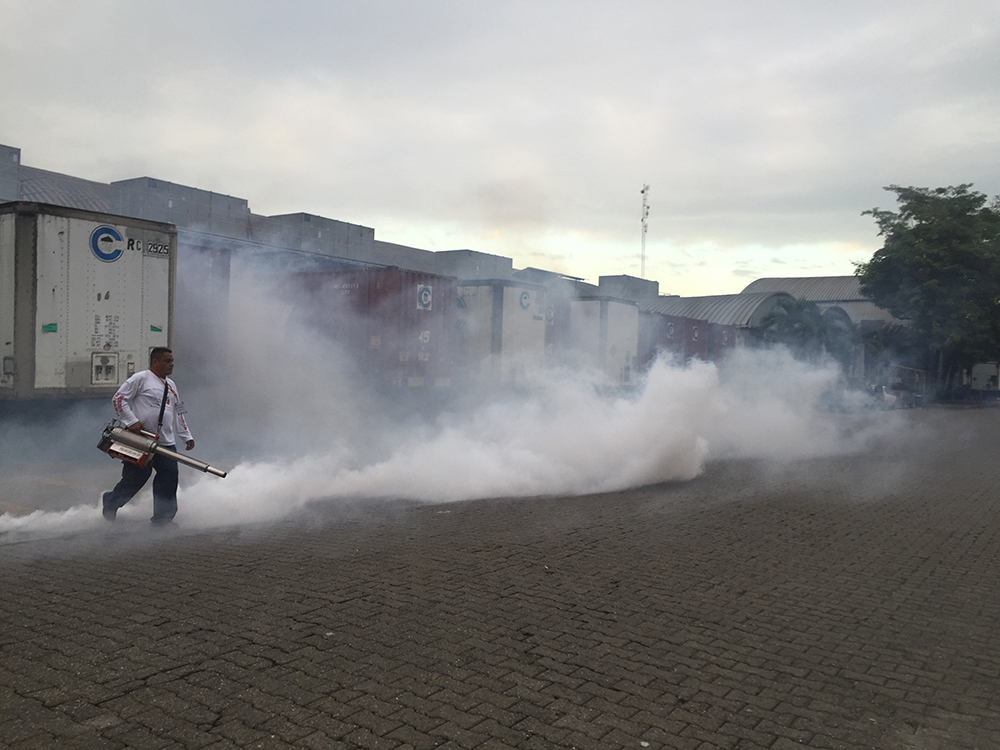 Campaña de fumigación en Zip Búfalo