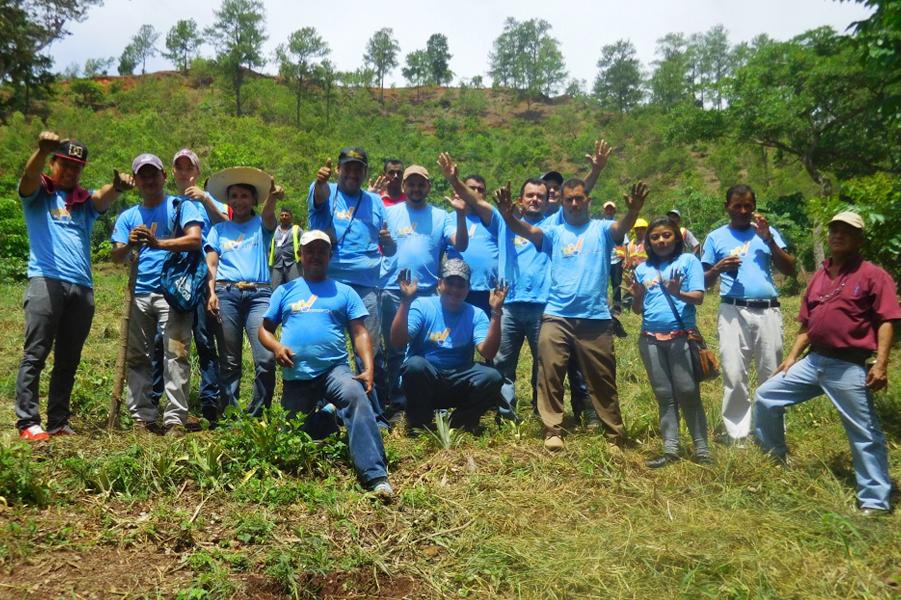 Astro Cartón reforesta cerro El Tigre, en Cofradía, Cortés