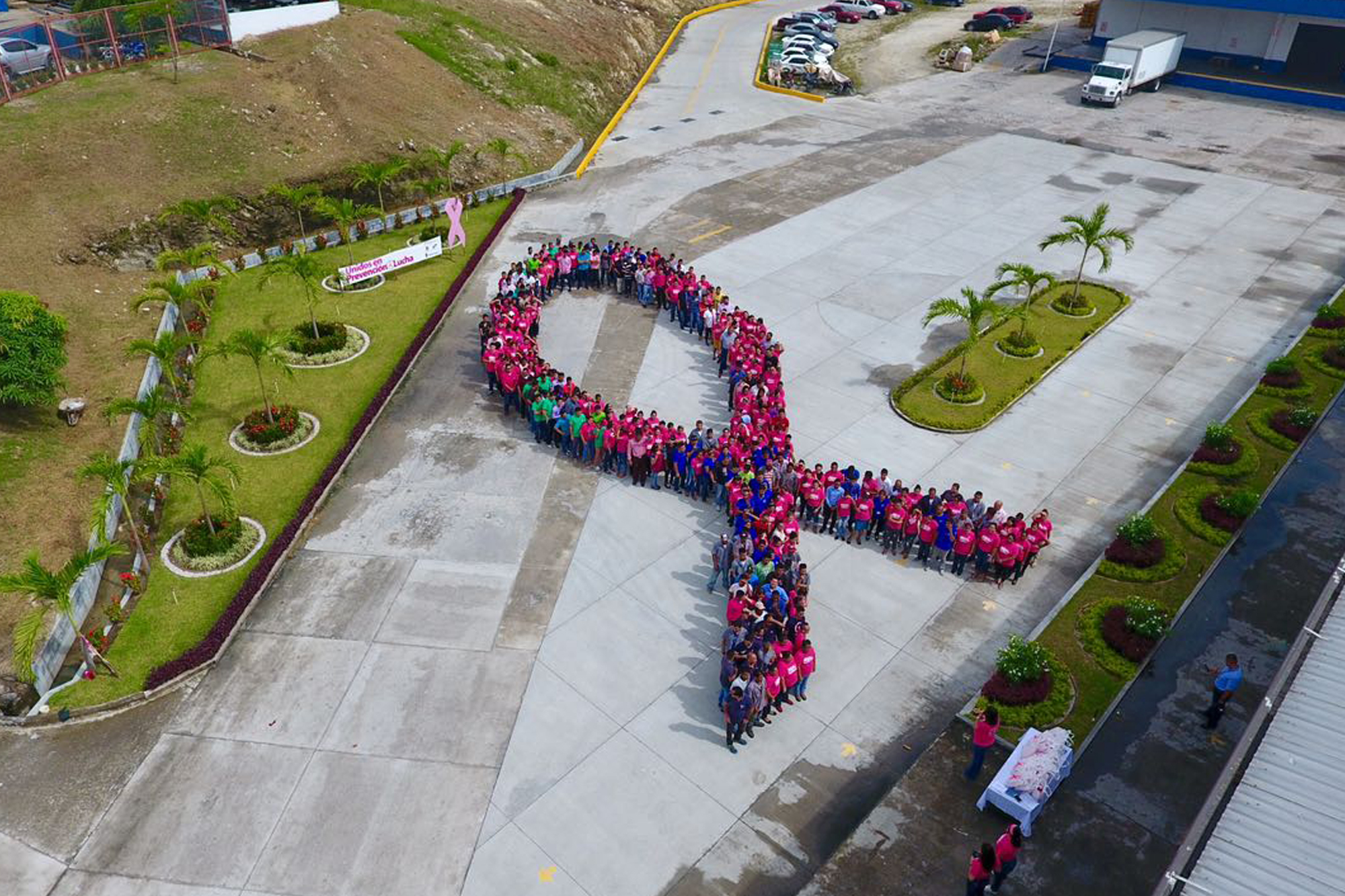 Empresas de ZOLI JE Handal unidas en la lucha contra el cáncer