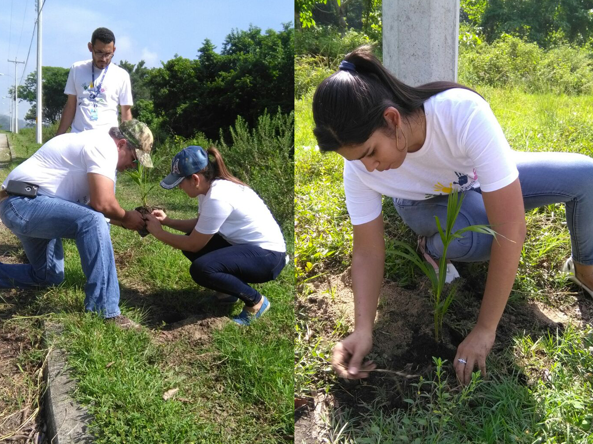 Voluntariado de Grupo Kattan, División Inmobiliaria (INHDELVA), reforesta proyecto Bello Horizonte