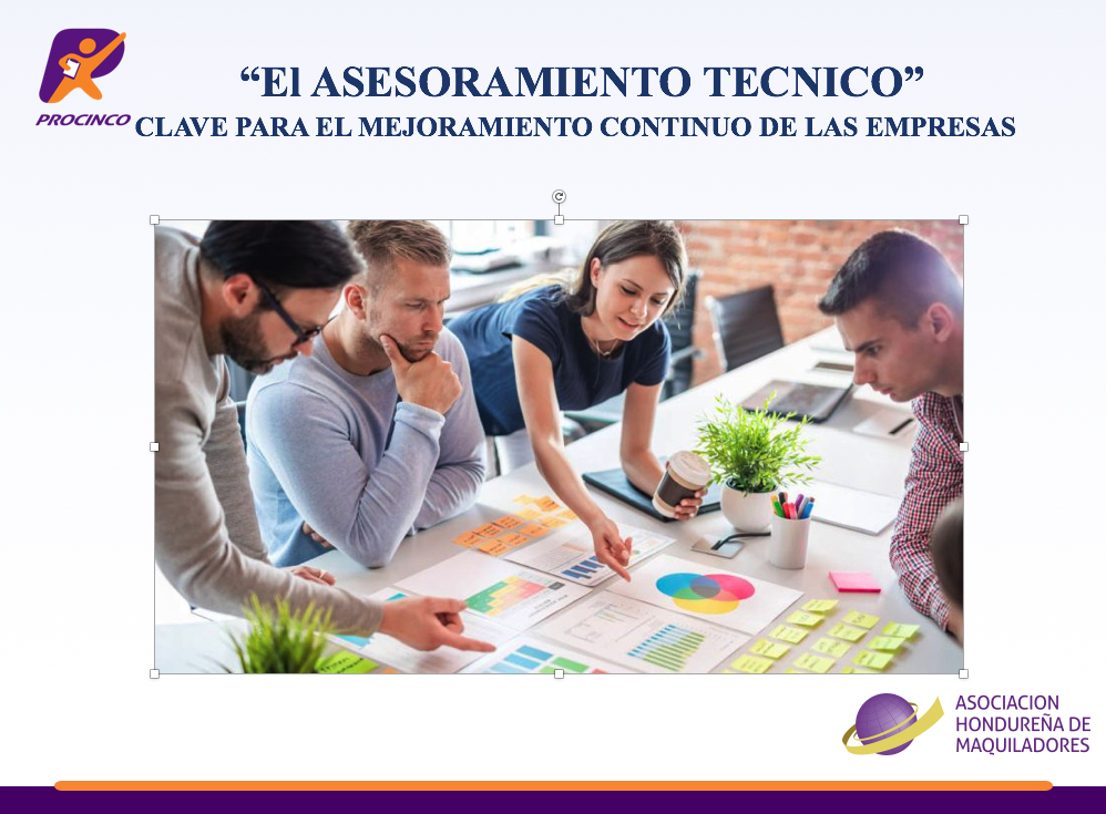 WEBINAR: «ASESORAMIENTO TÉCNICO, CLAVE EN EL MEJORAMIENTO CONTINUO DE LAS EMPRESAS»