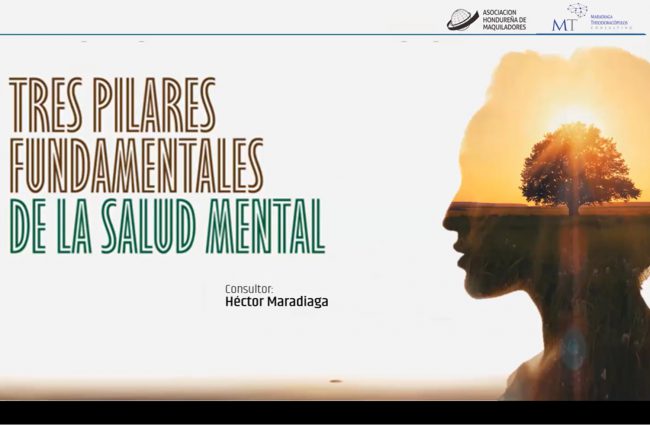TRES PILARES FUNDAMENTALES DE LA SALUD MENTAL
