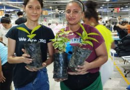DEL MAR APPAREL CULTIVA VIDA Y CONCIENCIA ECOLÓGICA CON ENTREGA DE 600 PLANTAS FRUTALES, MADERABLES Y ORNAMENTALES