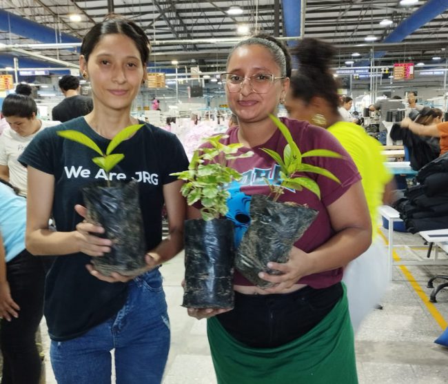DEL MAR APPAREL CULTIVA VIDA Y CONCIENCIA ECOLÓGICA CON ENTREGA DE 600 PLANTAS FRUTALES, MADERABLES Y ORNAMENTALES
