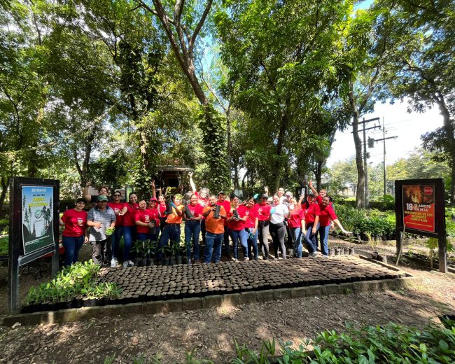 ¡MANOS A LA TIERRA!: EN ACCIÓN, VOLUNTARIADO DE AVERY DENNISON